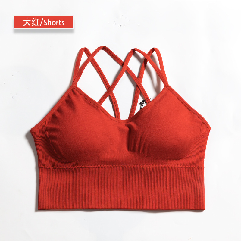 seamless sport bea solid bra 8116