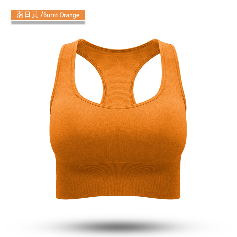 seamless sport bea solid bra 8119