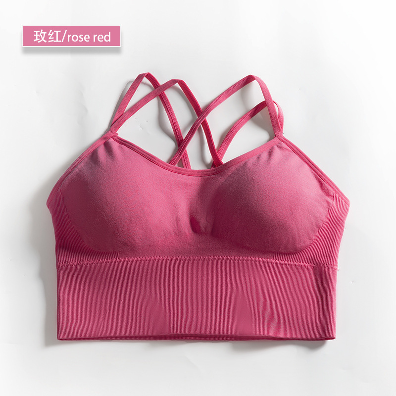 seamless sport bea solid bra 8116