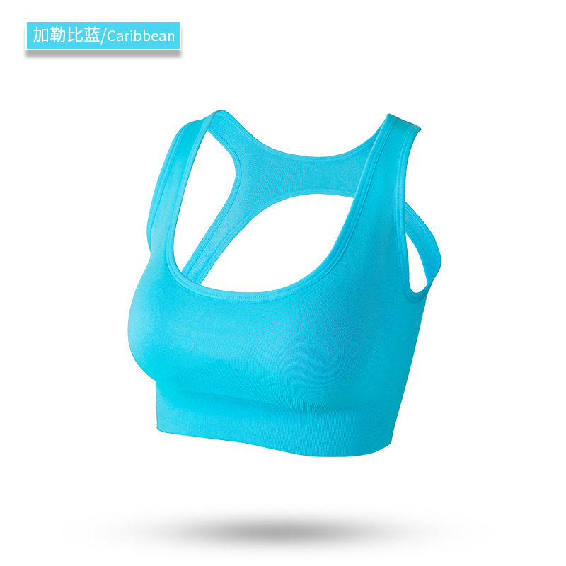 seamless sport bea solid bra 8124