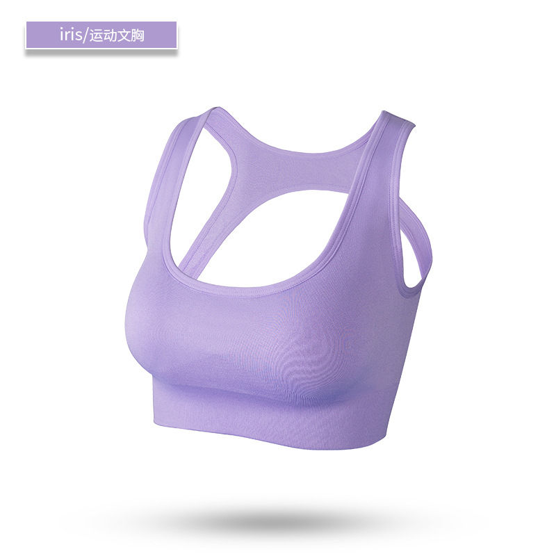 seamless sport bea solid bra 8124