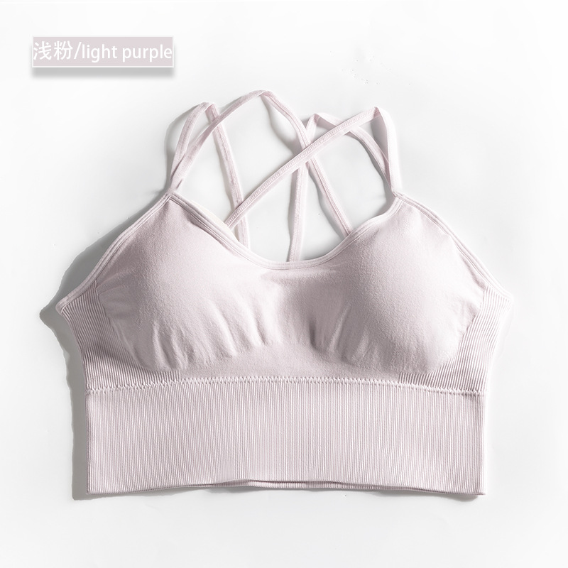 seamless sport bea solid bra 8116