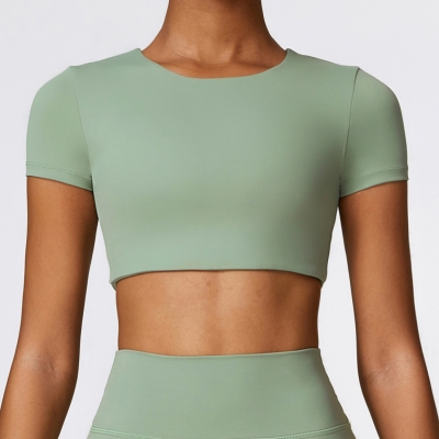 Soft Fabric Short Sleeves Crop Yoga Top 8519