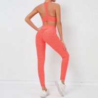 Tight-fitting Brushed Quick-drying Fitness Jumpsuit  QS59931+46030