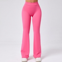 Hip Lifting V-waist Quick-drying Yoga Pants  QS43210